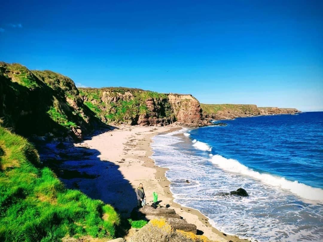 Arthurstown Ballyhack By The Sea מראה חיצוני תמונה