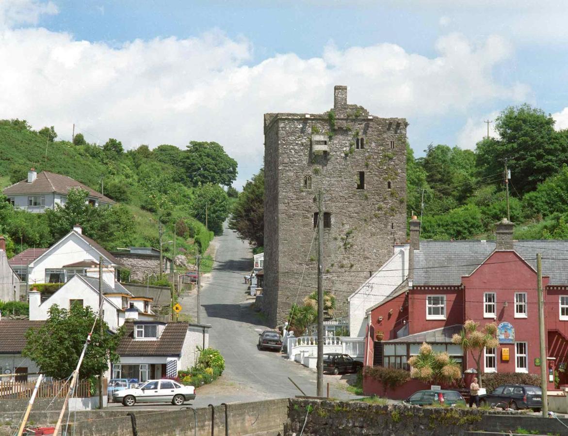 Arthurstown Ballyhack By The Sea מראה חיצוני תמונה